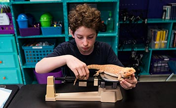 VBFS is Small By Design Virginia Beach Friends School Student