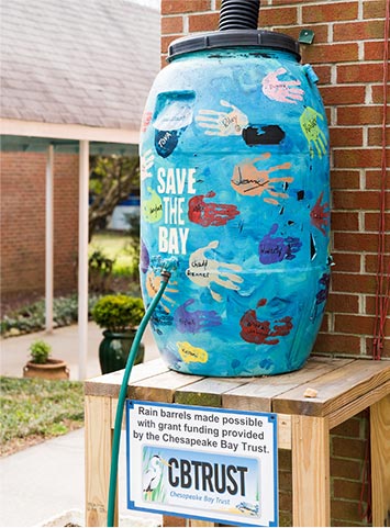Shoreline Stewardship Shoreline Stewardship