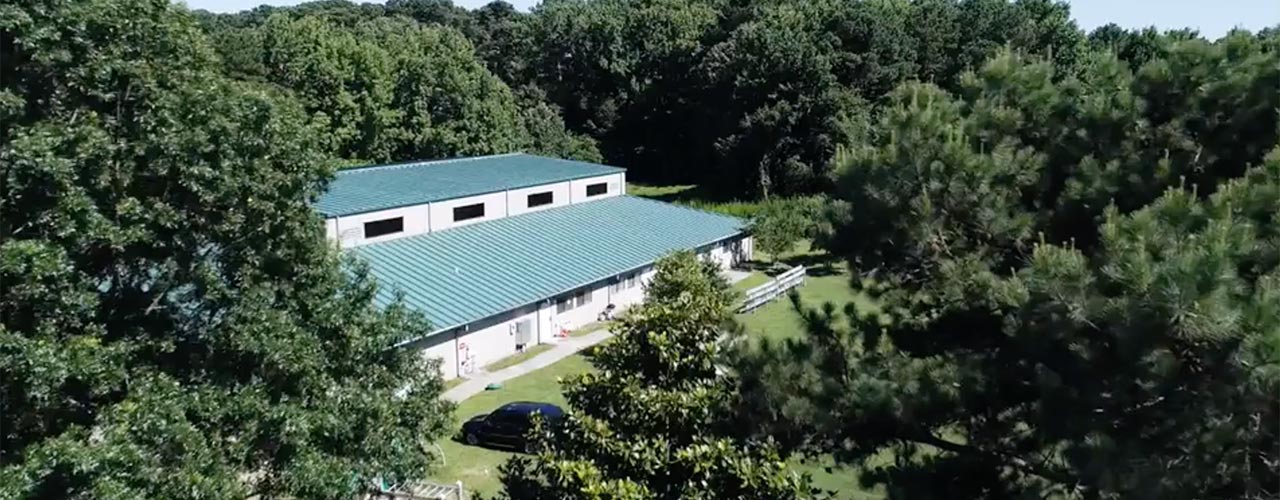 Virginia Beach Friends School A Private Quaker Education