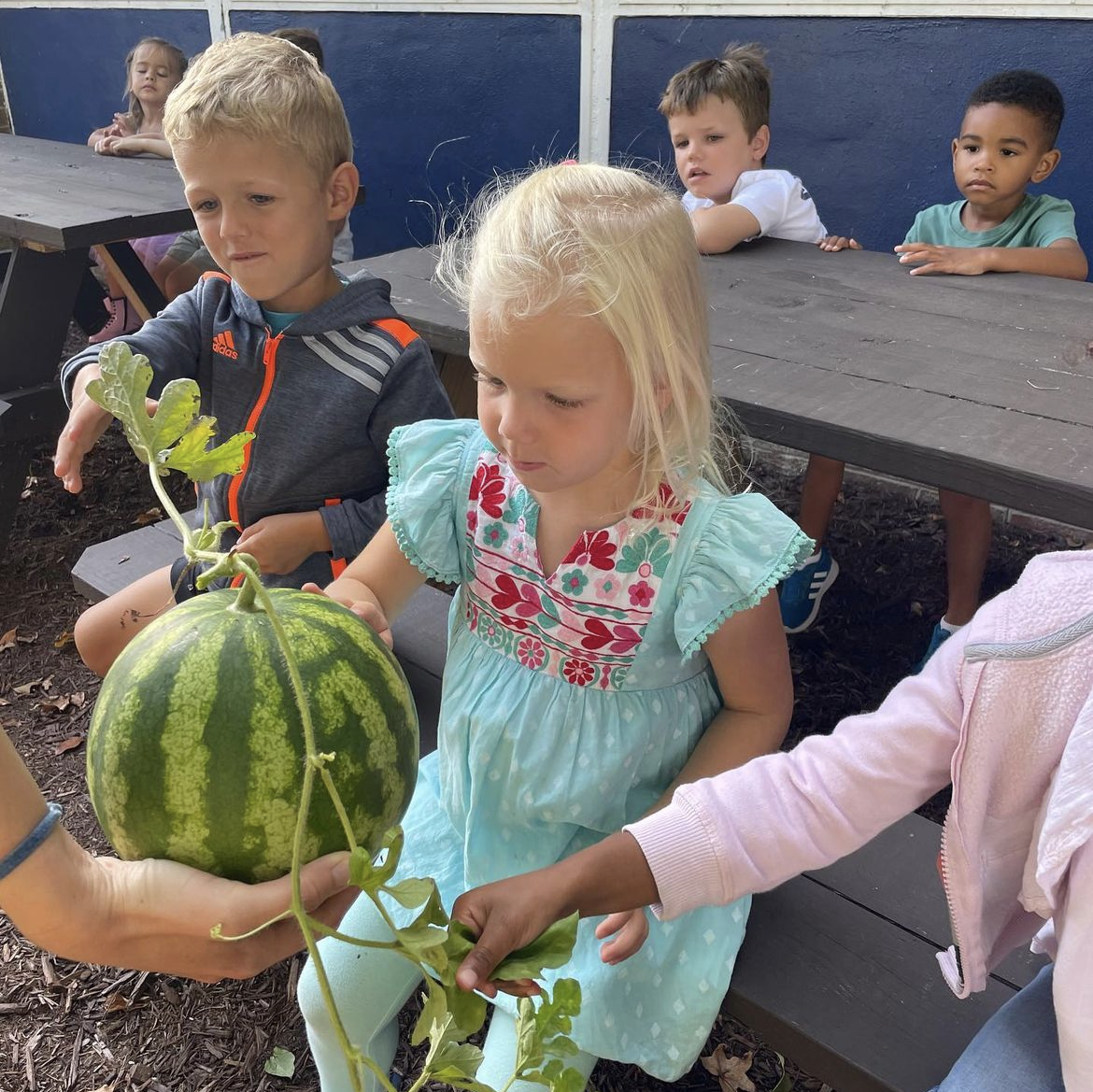 Virginia Beach Friends School Stewardship